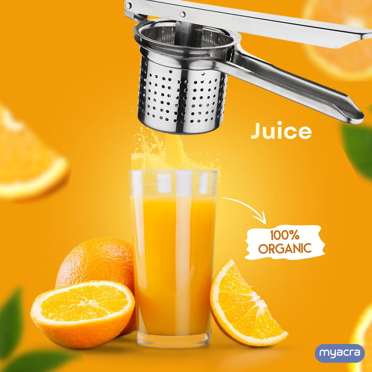 Premium Stainless Steel Multi-Purpose Squeezer